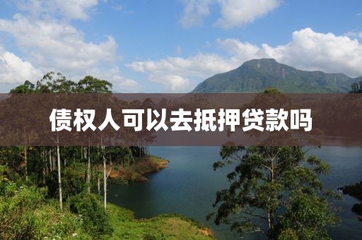 债权人可以去抵押贷款吗