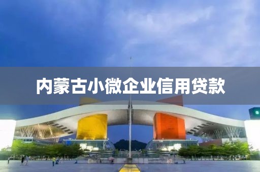 内蒙古小微企业信用贷款