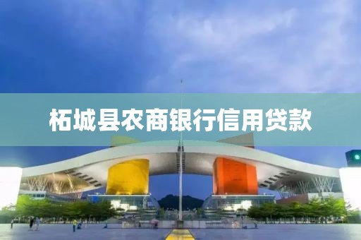 柘城县农商银行信用贷款