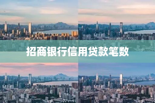 招商银行信用贷款笔数