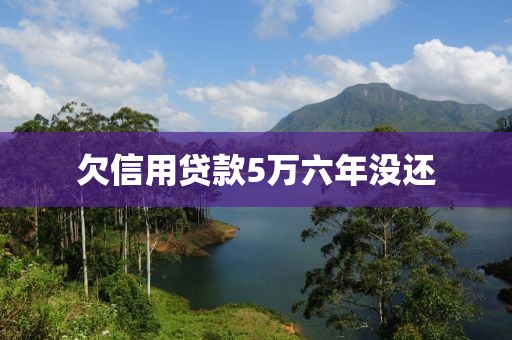 欠信用贷款5万六年没还