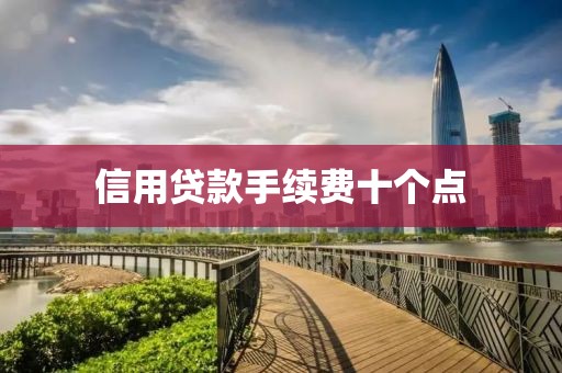 信用贷款手续费十个点