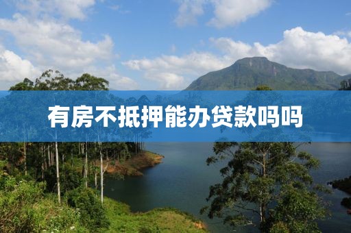 有房不抵押能办贷款吗吗