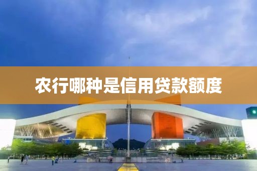 农行哪种是信用贷款额度
