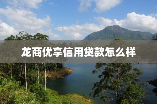 龙商优享信用贷款怎么样