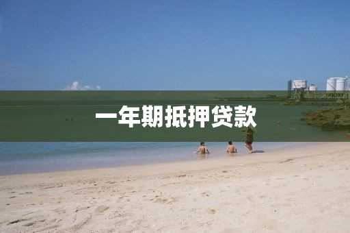 一年期抵押贷款