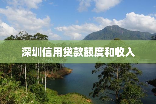 深圳信用贷款额度和收入
