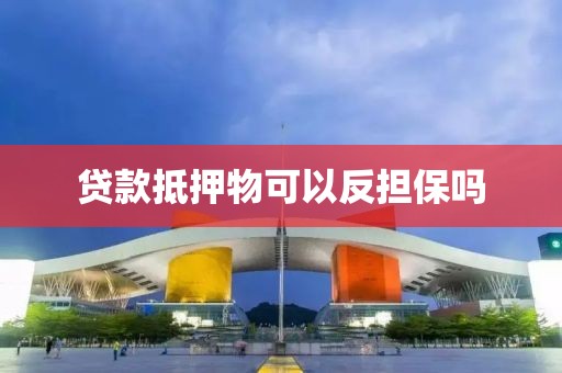 贷款抵押物可以反担保吗