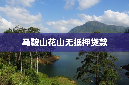 马鞍山花山无抵押贷款