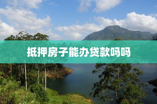 抵押房子能办贷款吗吗