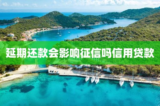 延期还款会影响征信吗信用贷款