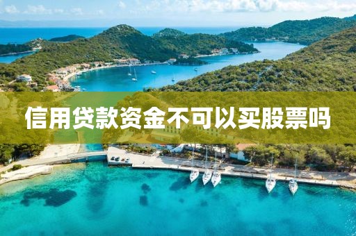 信用贷款资金不可以买股票吗
