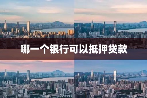 哪一个银行可以抵押贷款