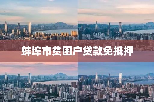 蚌埠市贫困户贷款免抵押