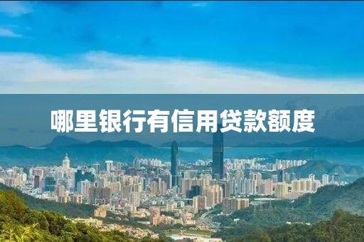 哪里银行有信用贷款额度