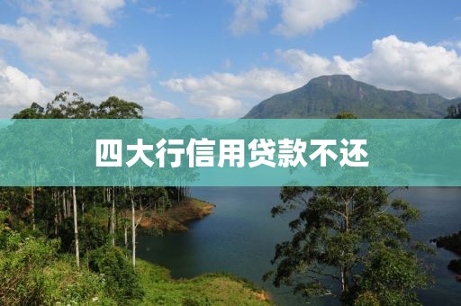 四大行信用贷款不还