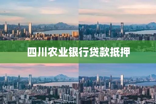 四川农业银行贷款抵押