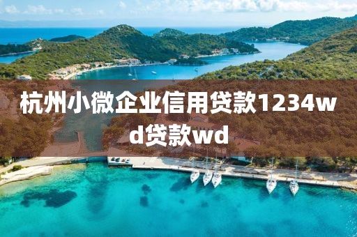 杭州小微企业信用贷款1234wd贷款wd