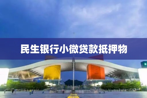 民生银行小微贷款抵押物