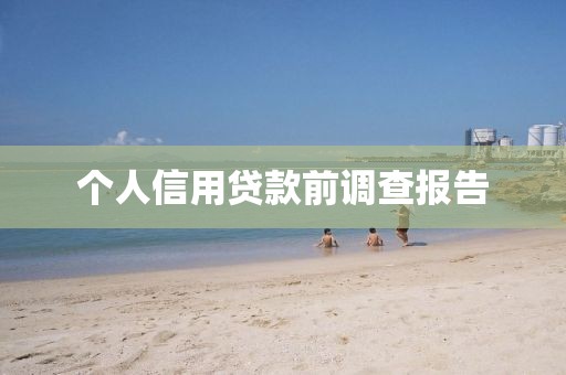 个人信用贷款前调查报告