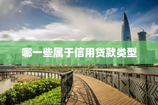 哪一些属于信用贷款类型