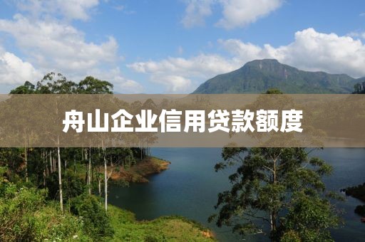 舟山企业信用贷款额度