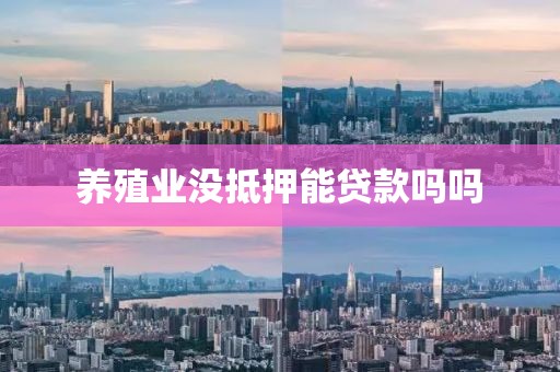养殖业没抵押能贷款吗吗