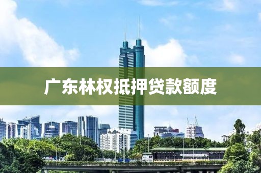 广东林权抵押贷款额度