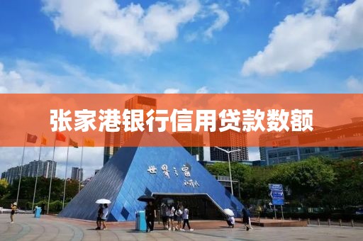 张家港银行信用贷款数额