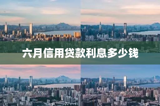 六月信用贷款利息多少钱