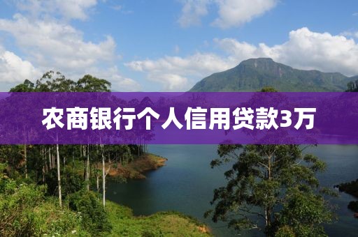农商银行个人信用贷款3万