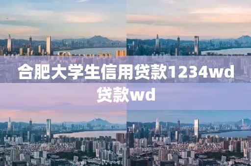 合肥大学生信用贷款1234wd贷款wd