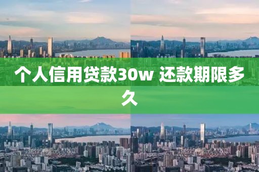 个人信用贷款30w 还款期限多久
