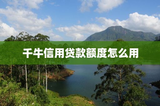 千牛信用贷款额度怎么用