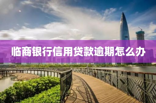 临商银行信用贷款逾期怎么办