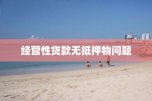 经营性贷款无抵押物问题