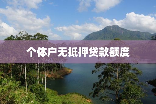 个体户无抵押贷款额度