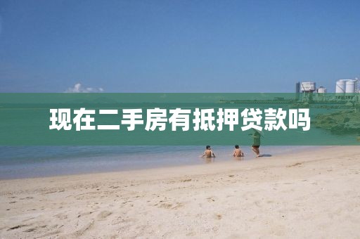 现在二手房有抵押贷款吗