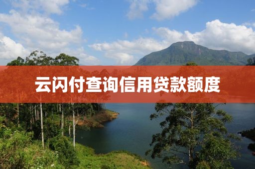 云闪付查询信用贷款额度