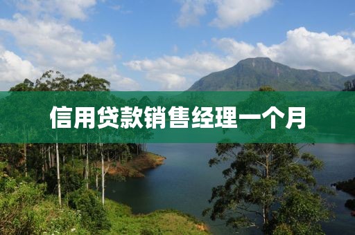 信用贷款销售经理一个月
