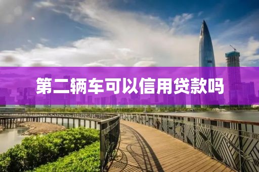 第二辆车可以信用贷款吗