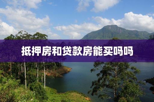 抵押房和贷款房能买吗吗