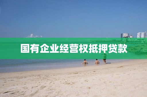 国有企业经营权抵押贷款
