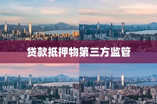 贷款抵押物第三方监管