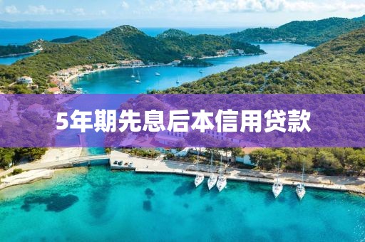 5年期先息后本信用贷款