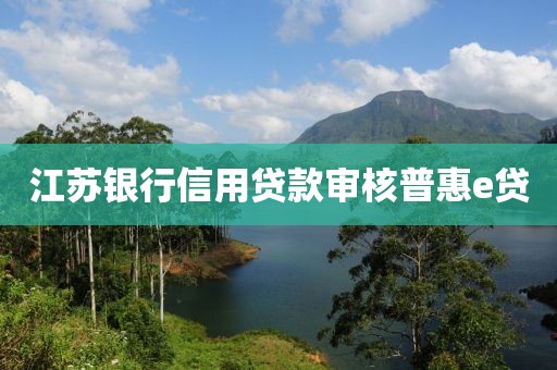 江苏银行信用贷款审核普惠e贷