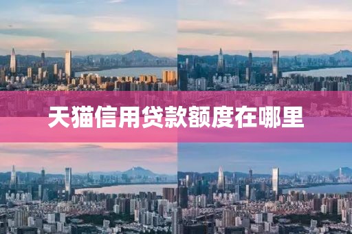 天猫信用贷款额度在哪里