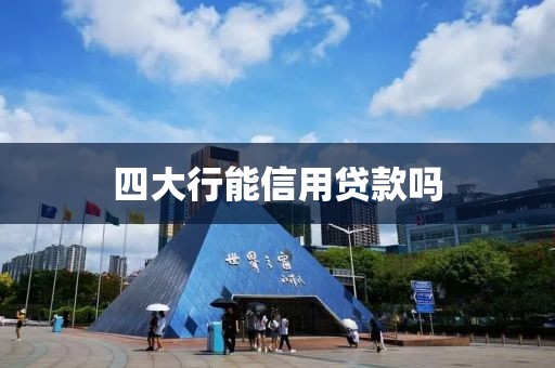 四大行能信用贷款吗