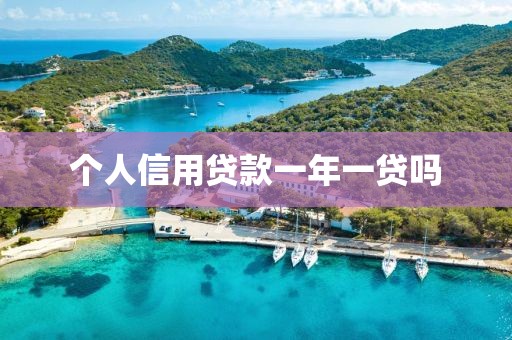 个人信用贷款一年一贷吗