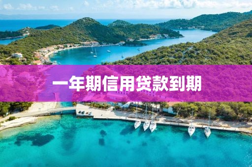 一年期信用贷款到期